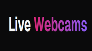 The Complete Newcomer’s Guide to Adult Cam Sites: What Nobody Actually Tells You